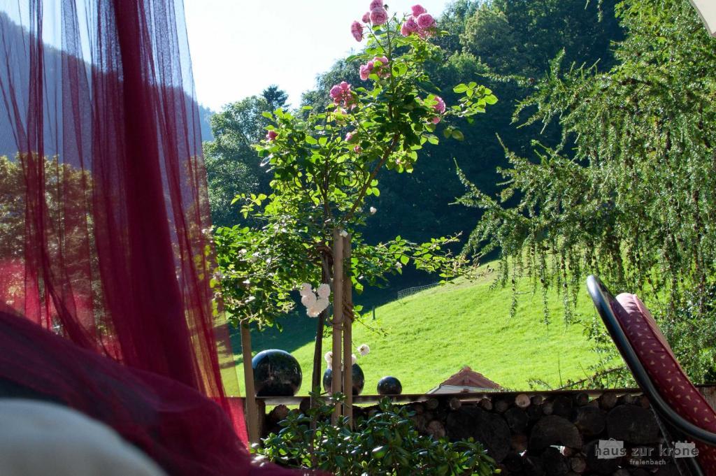 B&B Haus Zur Krone Oberriet Luaran gambar